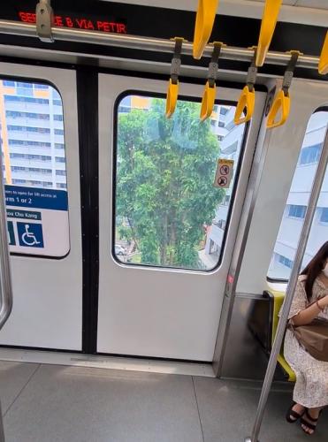 Чиновники Сингапура придумали, как не раздражать людей богатством. Для лайфхака нужен поезд и немного магии