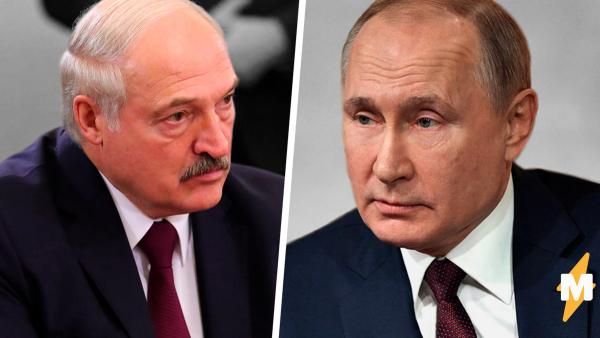 Путин и Лукашенко встретились и стали мемом