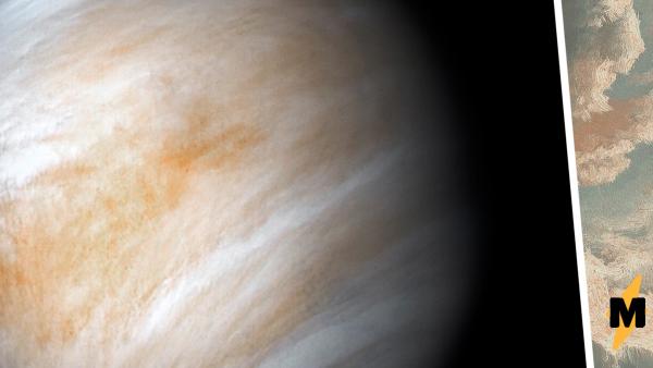 Учёные нашли возможный признак жизни на Венере. Мемы об их открытии - просто космос