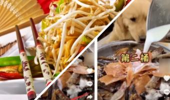 Из Китая по Сети идёт опасный тренд: люди кормят собак. Звучит хорошо, но есть нюанс — и он в количестве еды