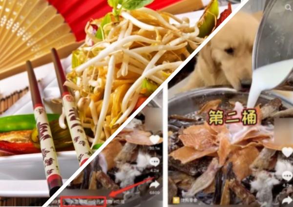 В Китае новый опасный тренд: люди кормят своих собак. Звучит нормально, но есть нюанс - и он в количестве еды