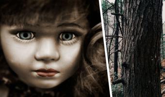 Старая кукла с дерева напугала целый район. До Чаки и Аннабель не дотянула, но от её послания людям страшно
