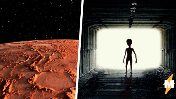 Наконец-то мы узнали, как выглядят пришельцы. Уфолог нашёл на фото с Марса их следы - почему-то кошачьи