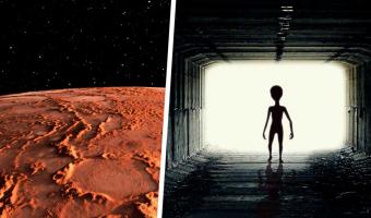 Наконец-то мы узнали, как выглядят пришельцы. Уфолог нашёл на фото с Марса их следы — почему-то кошачьи