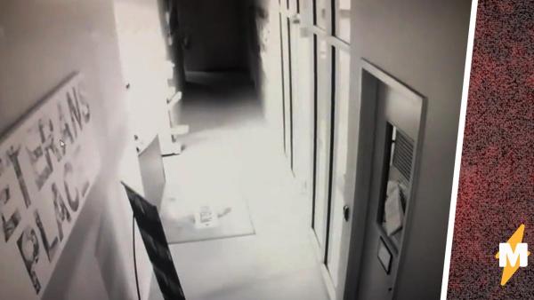 Мужчина думал, в офис ночью забираются вандалы, пока не увидел запись с камер. Эта угроза копам не по зубам