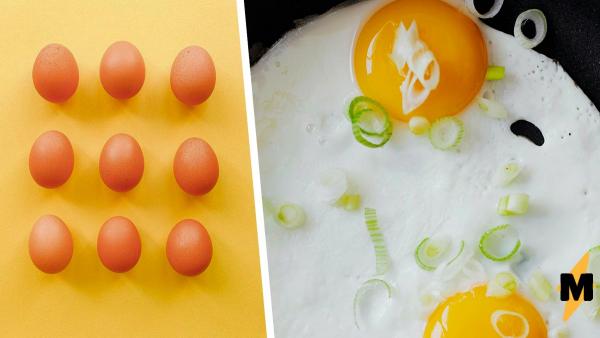 Как проверить яйцо на съедобность и почему это нужно делать. Мама показала лайфак, который пригодится всем