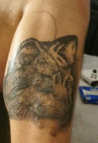 Татуировщик выполнил просьбу клиента, но выдал своё доброе сердце. Вместо волка на ноге парня появилась