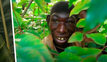 Парень из Руанды живёт на дереве и питается травой. Чтобы вернуть сына домой, маме приходится брать лассо