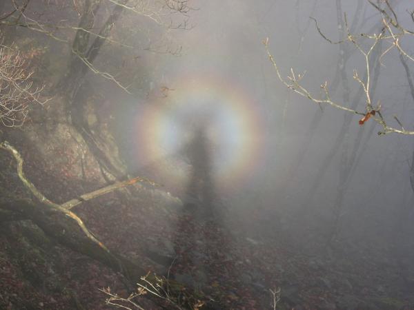 Парень поднялся в горы и увидел собственный призрак. Но мистики здесь нет - только редкая оптическая иллюзия
