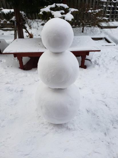 Девушка сделала идеального снеговика. Место ему в палате мер и весов