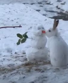 Случилось покушение на снеговика. Пушистый вор оставил ледяную скульптуру с носом (точнее, без)