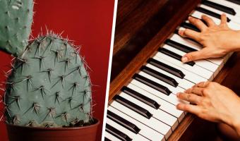 На Ибице появилось пианино, способное изменить музыкальный мир. В отличие от Моцарта, оно цветёт и пахнет