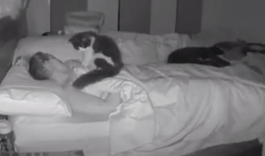 Девушка не знала почему плохо спит, пока не увидела запись камер. Ночью некто приходил её атаковать объятьями