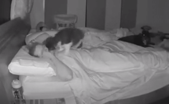 Девушка не знала почему плохо спит, пока не увидела запись камер. Ночью некто приходил её атаковать объятьями