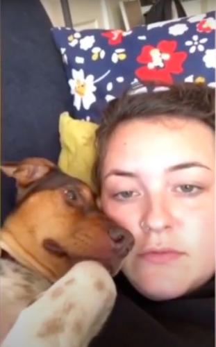 Девушка хотела поделиться видео со своей собачкой, но в итоге этот пёс словил бешеную волну хайпа