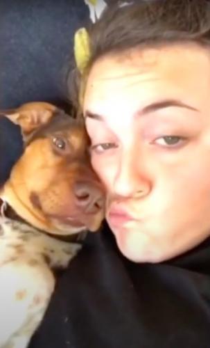 Девушка хотела поделиться видео со своей собачкой, но в итоге этот пёс словил бешеную волну хайпа