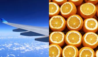 Пассажиры съели ящик апельсинов, чтобы не платить за багаж. Узнав, сколько это в кило, люди надеются: это фейк