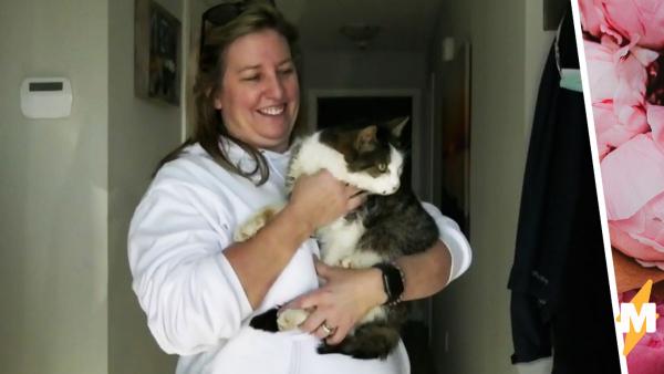 Потерявшийся 10 лет назад котик вернулся в семью благодаря микрочипу. Киберпанк, который мы заслужили