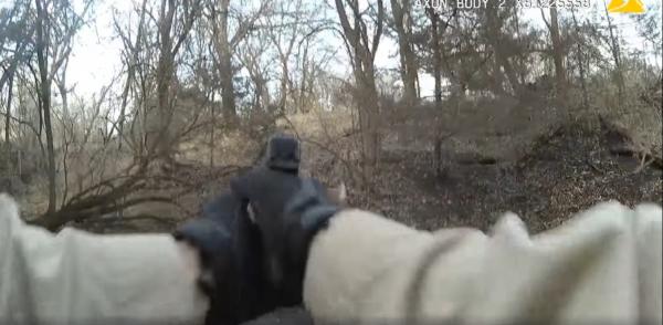 Лесной рейнджер спас двух оленей с помощью пистолета. Клинт Иствуд одобряет