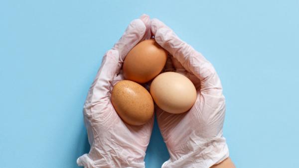 Что будет, если доготовить уже варёные яйца в микроволновке. Девушка узнала, и на кухне ей больше нет места