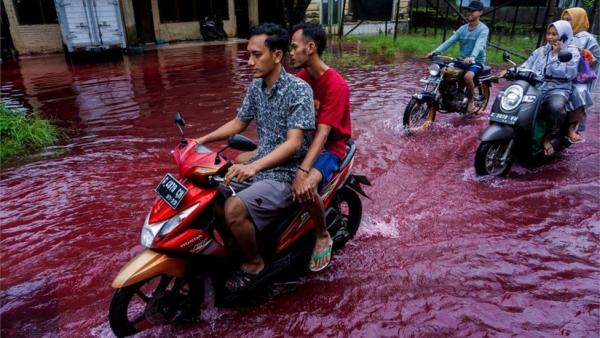 По улицам поселения в Индонезии бегут кровавые реки, но криминал тут не при чём. Однако, виновный всё же есть