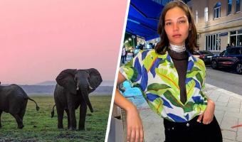 Модель Алеся Кафельникова сделала фото со слоном, и зоозащитники злы. Впрочем, её объяснение раскрыло им глаза