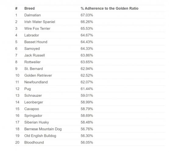 Люди вычислили самую красивую породу пёселей. Если с собачниками можно поспорить, то с математикой навряд ли