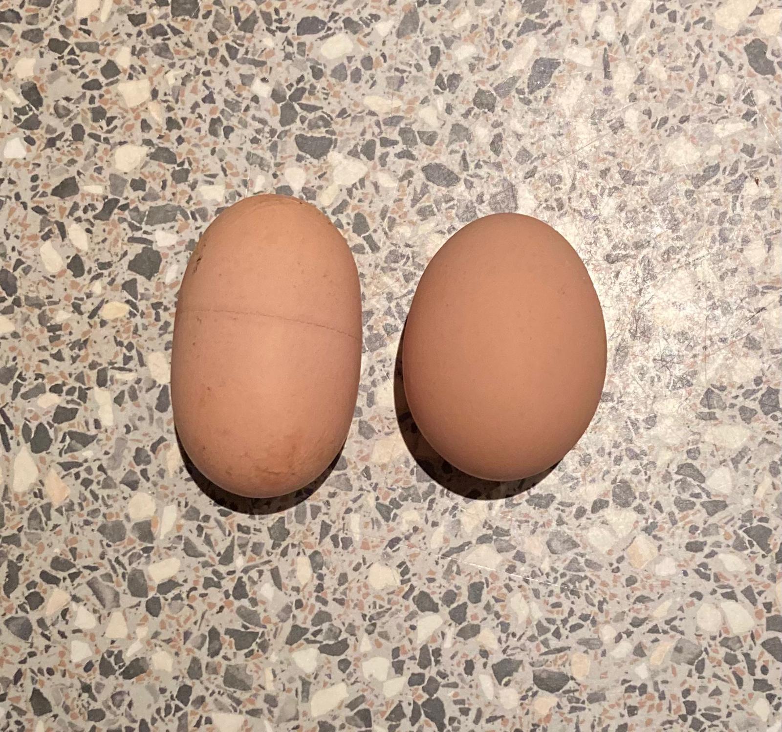 Какие яйца лучше купить. Необычные яйца. Редкие яйца. Самые редкие яйца. Камень похожий на яйцо.