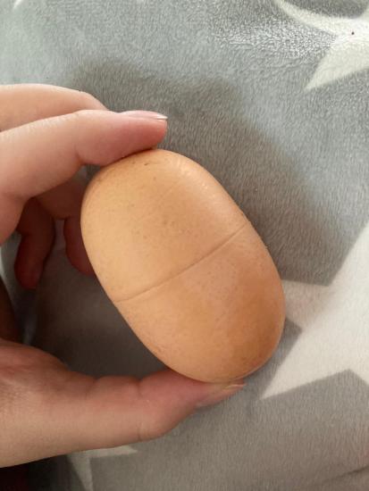 Реддитор показал, какое яйцо снесла курица. Не простое и даже не золотое, ведь это настоящий «Киндер-сюрприз»