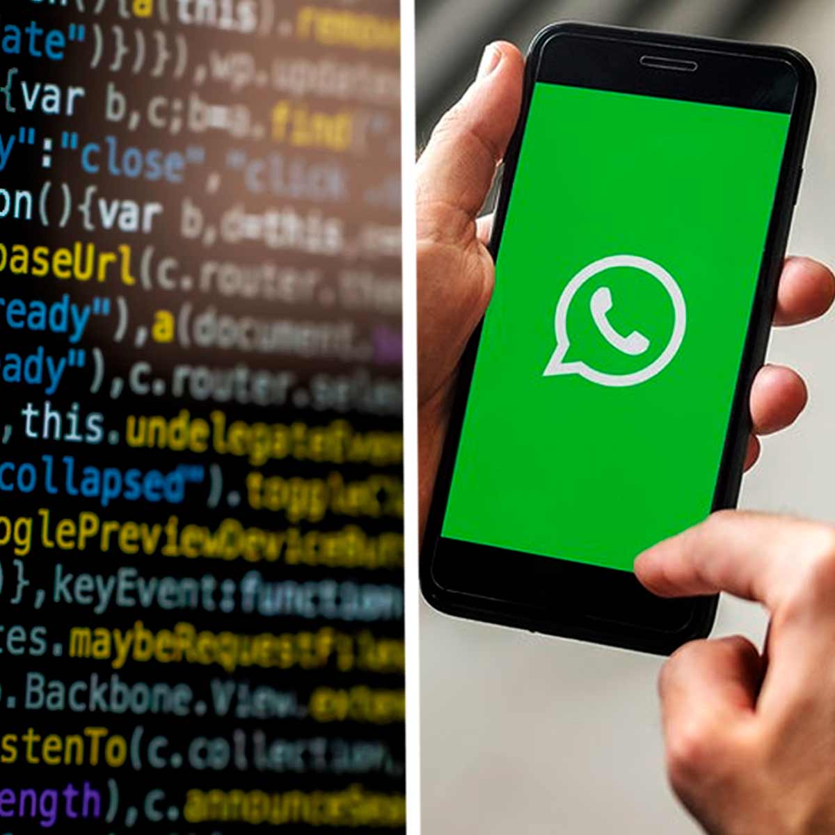 Как работают мошенники в WhatsApp. Студент поделился опытом