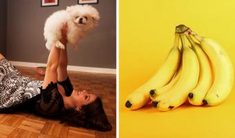 Хозяйка взглянула на фото банана, затем на своего пекинеса и снова на банан. Сомнений нет — они близнецы