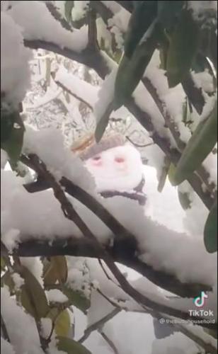 Тиктокеры слепили снеговика во дворе и теперь их соседи хотят съехать. Ещё бы: ему прямая дорога в ужастики