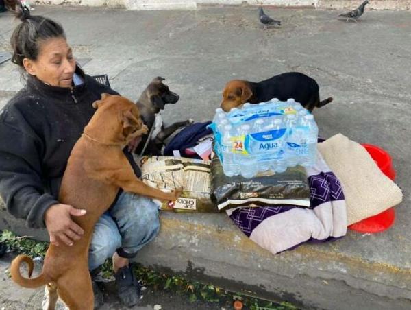 «Мне не нужна помощь» — сказала старушка из мусорного мешка. Она 8 лет живёт вместе с 6 собаками на улице