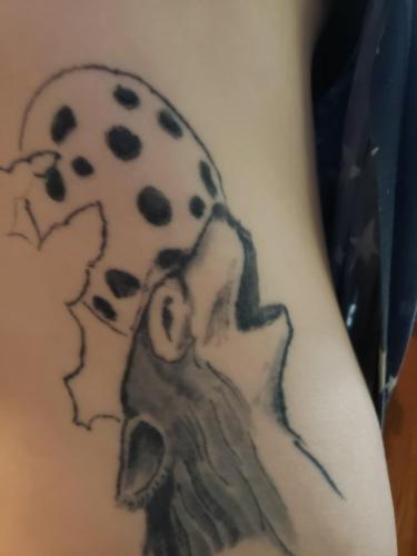 Девушка хотела татуировку с волком, но что-то пошло не так. Теперь на ней красуется печеньковая лайка