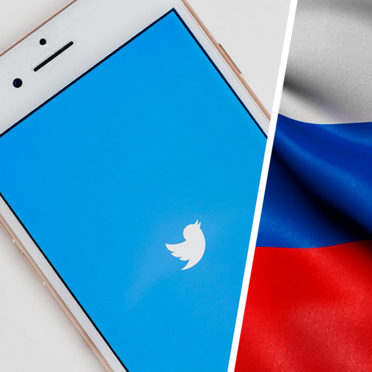 Люди решили, что клон Twitter, соцсеть Twibe, сливает данные властям