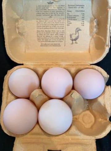 Покупатель взял в магазине яйца, но не для омлета. Увидев, что из них выросло, вы тоже переосмыслите яичницу