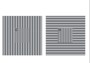 Квадраты выглядят как оптическая иллюзия, но всё сложнее. Это простой тест на наличие депрессии, и он вас ждёт