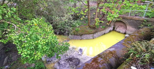 Река светится жёлтым, и это не сбой матрицы. Кажется, отходы с завода Гомера Симпсона сливали в неё