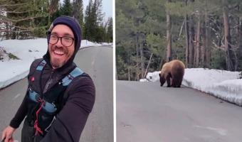 Бегун на видео уговорил медведя его не есть — буквально. Заклинатель мишек найден, Пятачок покупает курс