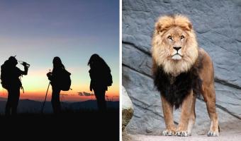 Семья решила посмотреть в зоопарке на льва, но тот был в отпуске. В клетке вместо царя зверей сидел дублёр