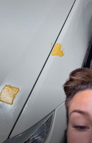Блогерше на авто приклеили сыр, но она побежала не за щёткой, а за помощью. Вскоре она узнала - это её спасло
