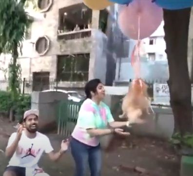 Собак на воздушном шаре заказывали? Никто их не просил, но блогер устроил цирк во дворе и теперь извиняется
