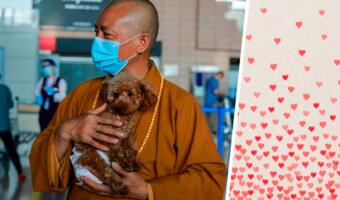 Сколько собак нужно для счастья? Буддийскому монаху хватило 8000 щенков, которые живут в его приюте