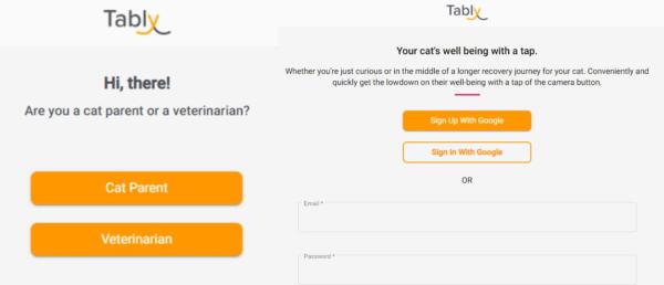 Как воспользоваться приложением Tably, которое распознаёт настроение кошек