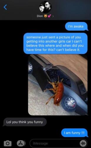 Мем с тараканом, садящимся в машину, отправляется в переписке ради розыгрыша