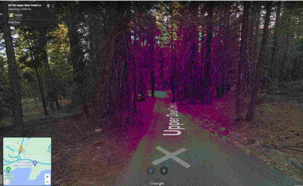 Пользователь Google Карты обнаружил пугающий участок леса странного цвета