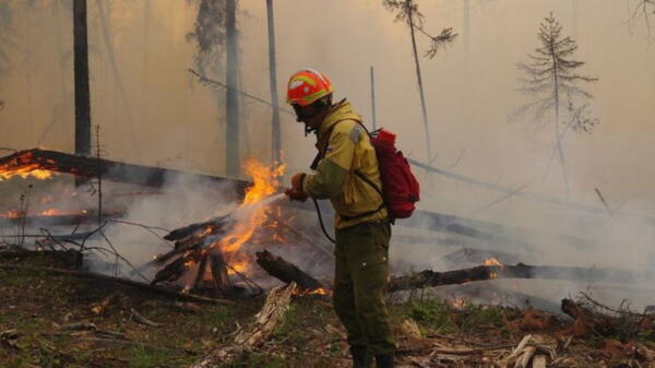 Что известно о лесных пожарах, которые уже почти три недели бушуют в Якутии