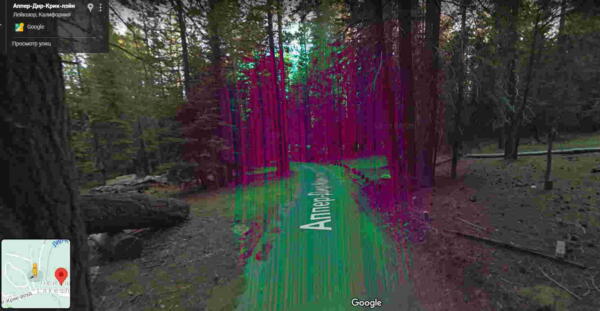 Пользователь Google Maps обнаружил участок леса странного цвета