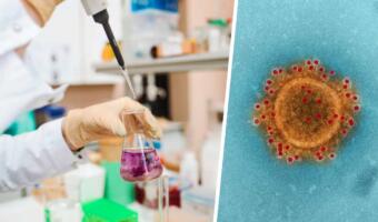 ВОЗ боится новой пандемии коронавируса из-за новых штаммов