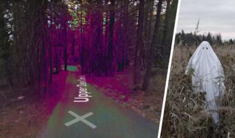 Пользователь Google Maps обнаружил в США лес с фиолетовыми деревьями
